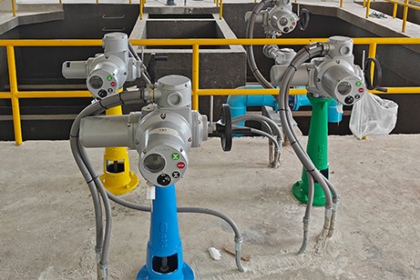 泰國曼谷羅勇水廠 泰國曼谷羅勇水廠