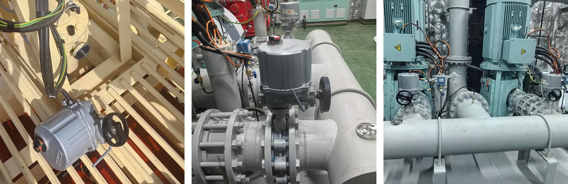 MSC CAMEROON 集裝箱船