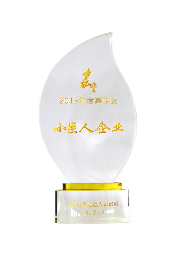 2015年嘉定小巨人企業(yè)